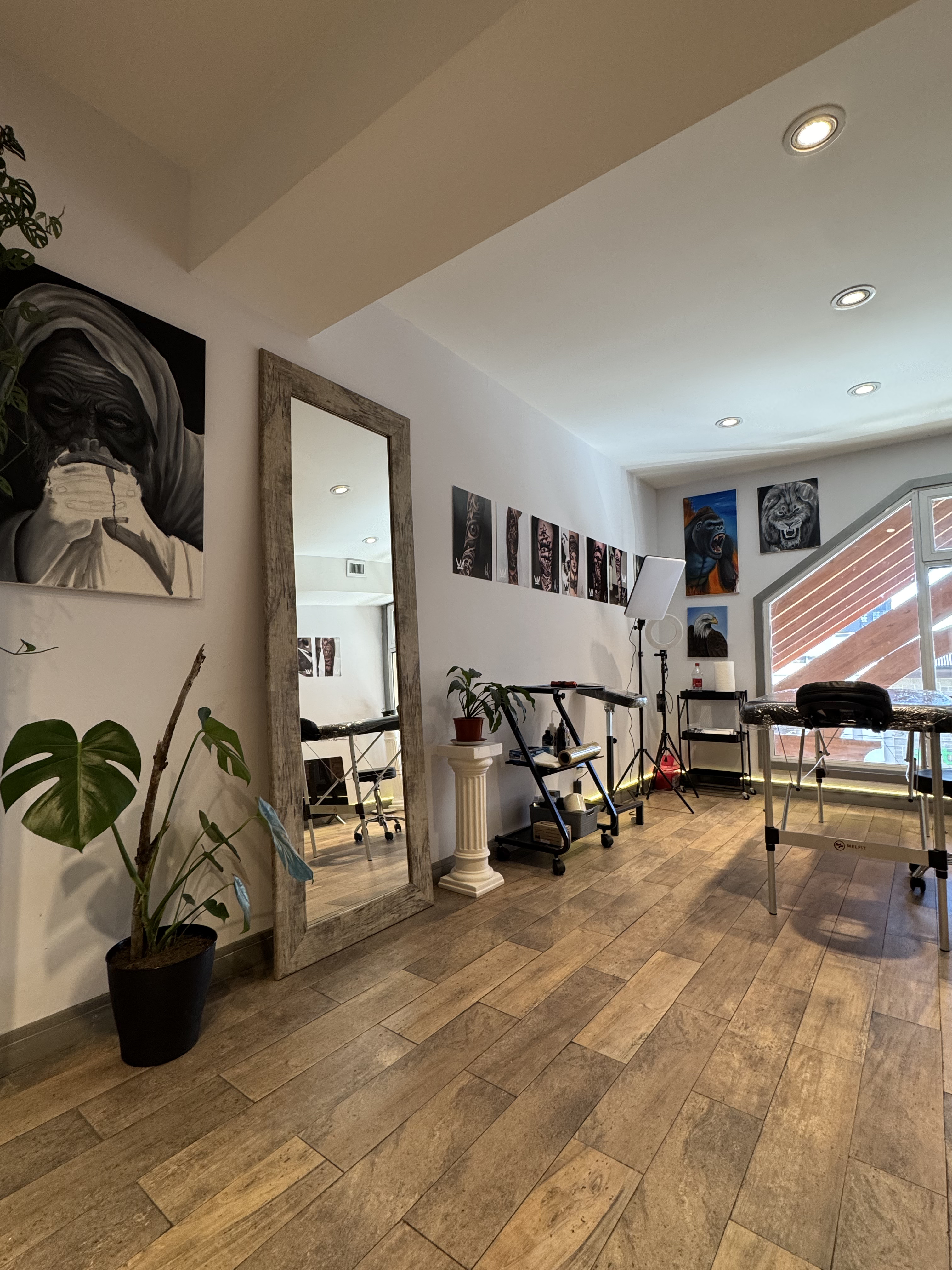 El estudio